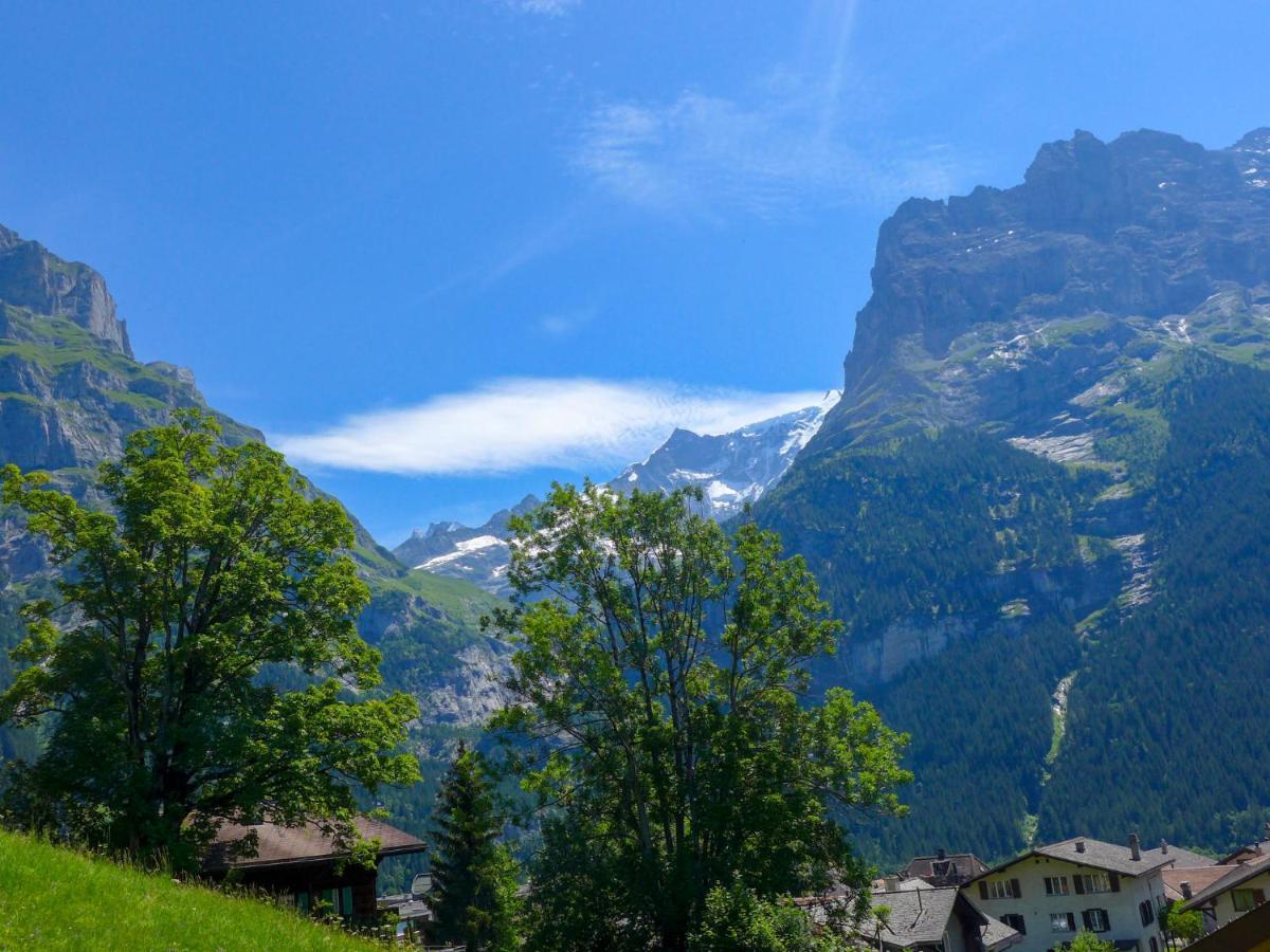 Apartment Chalet Albi By Interhome Grindelwald Exterior foto